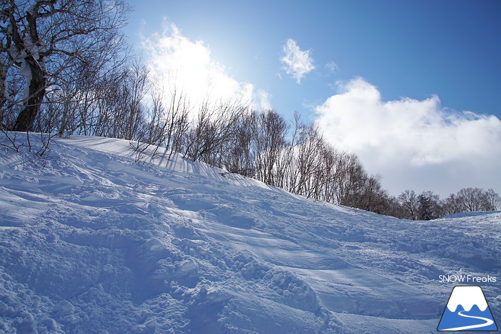 札幌国際スキー場 Welcome back POWDER SNOW !! ～パウダースノー復活～